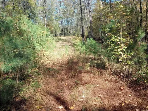 tbd Pleasant Pt, Mount Ida, AR 71957 photo 37