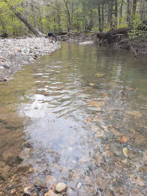 tbd Pleasant Pt, Mount Ida, AR 71957 photo 7