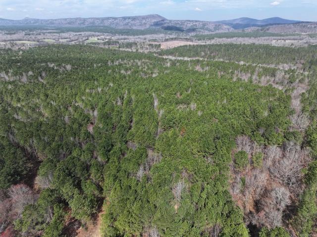Nnn J Dunson Road, Langley, AR 71952