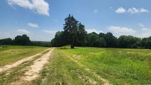 tbd Whittington Homestead, Story, AR 71970