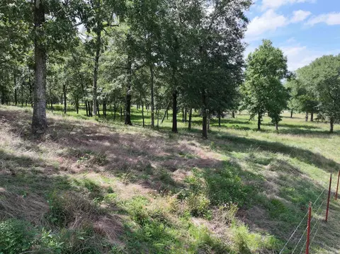 Exterior - 271 Liberty Rd, Norman, AR 71960 photo 2 of 5