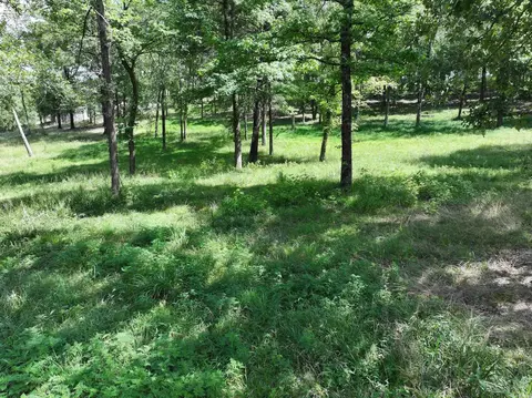 Other - 271 Liberty Rd, Norman, AR 71960 photo 7 of 12