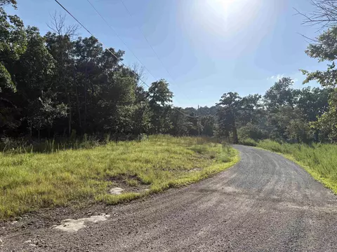 001-09239 000 Mc 8024, Peel, AR 72668 photo 17
