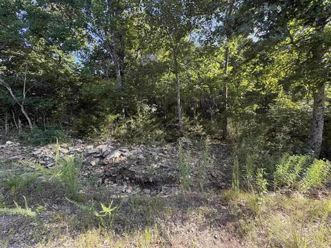 001-09239 000 Mc 8024, Peel, AR 72668 photo 26