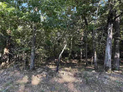 001-09239 000 Mc 8024, Peel, AR 72668 photo 10