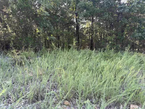 001-09239 000 Mc 8024, Peel, AR 72668 photo 5