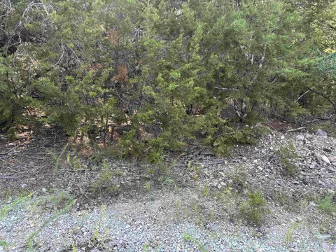 001-09239 000 Mc 8024, Peel, AR 72668 photo 12