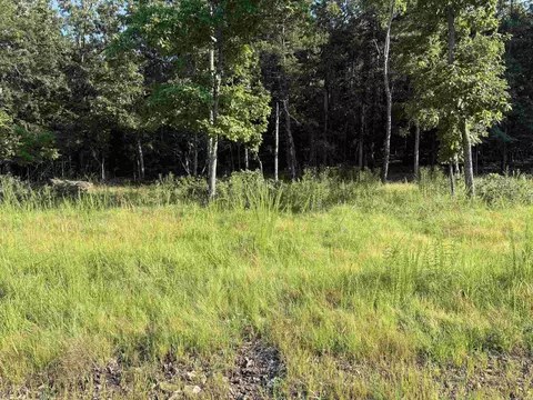 001-09239 000 Mc 8024, Peel, AR 72668 photo 24
