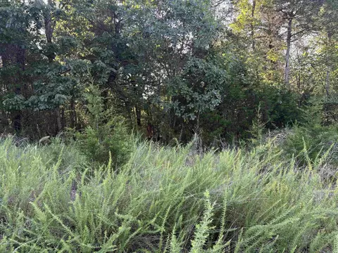 001-09239 000 Mc 8024, Peel, AR 72668 photo 6
