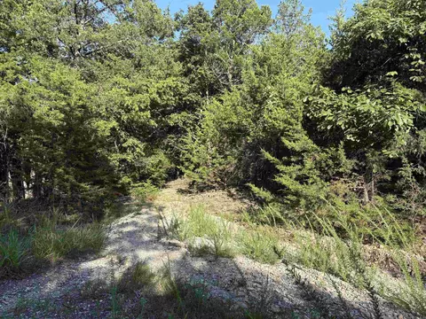 001-09239 000 Mc 8024, Peel, AR 72668 photo 3