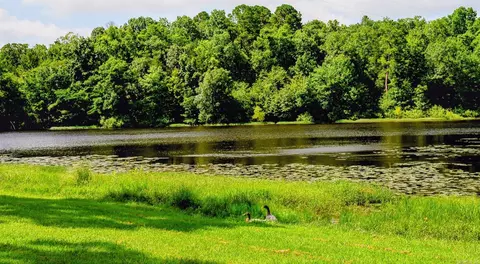 View/Area - 129 Blossom Ln, Mena, AR 71953 photo 5 of 9