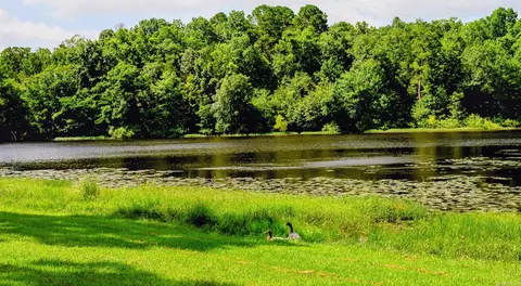 View/Area - 129 Blossom Ln, Mena, AR 71953 photo 5 of 8