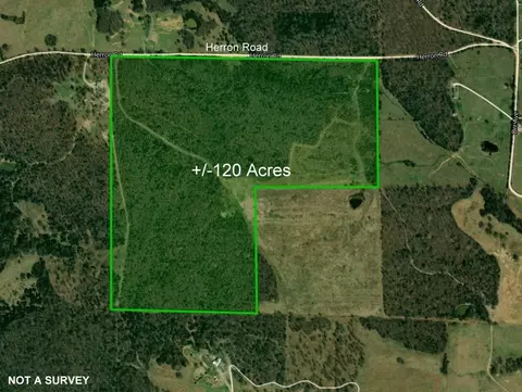 Herron Road, Ash Flat, AR 72513 photo 11