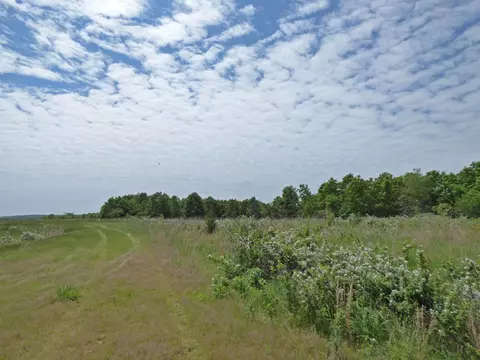 Herron Road, Ash Flat, AR 72513 photo 4