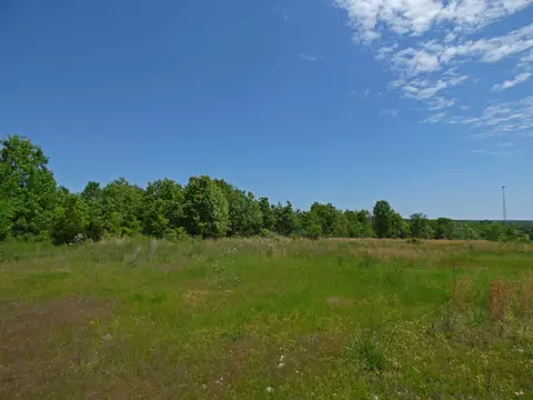 Herron Road, Ash Flat, AR 72513 photo 6