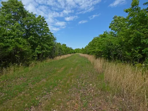 Herron Road, Ash Flat, AR 72513
