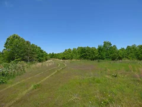 Herron Road, Ash Flat, AR 72513 photo 9