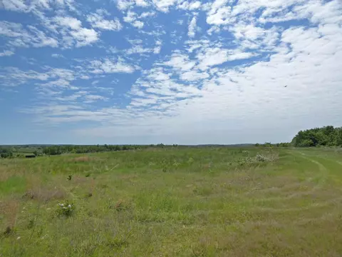Herron Road, Ash Flat, AR 72513 photo 5