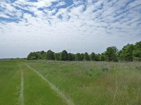 Herron Road, Ash Flat, AR 72513 photo 8