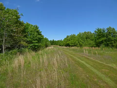 Herron Road, Ash Flat, AR 72513 photo 3