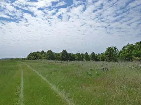 Herron Road, Ash Flat, AR 72513 photo 8