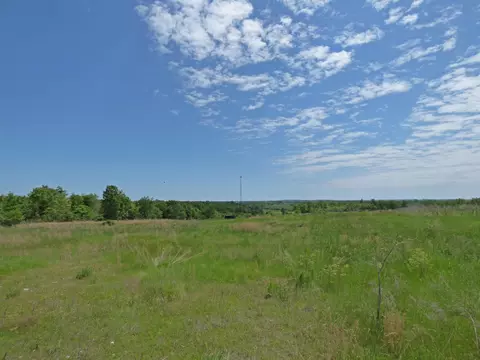 Herron Road, Ash Flat, AR 72513 photo 10