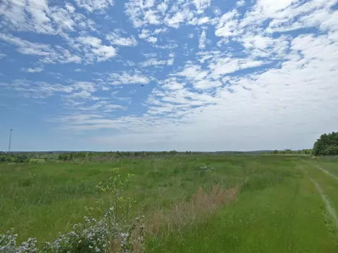 Herron Road, Ash Flat, AR 72513 photo 7