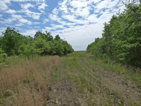 Herron Road, Ash Flat, AR 72513 photo 2