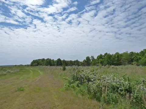 Herron Road, Ash Flat, AR 72513 photo 4