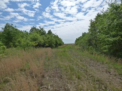 Herron Road, Ash Flat, AR 72513 photo 2