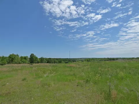 Herron Road, Ash Flat, AR 72513 photo 10