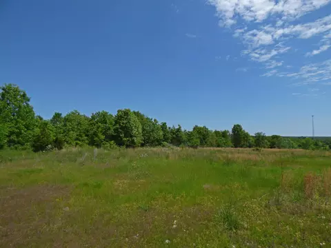 Herron Road, Ash Flat, AR 72513 photo 6