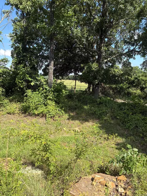 11099 Hwy 14, Big Flat, AR 72617 photo 14