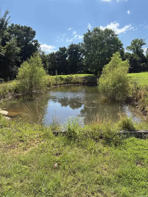 11099 Hwy 14, Big Flat, AR 72617 photo 15
