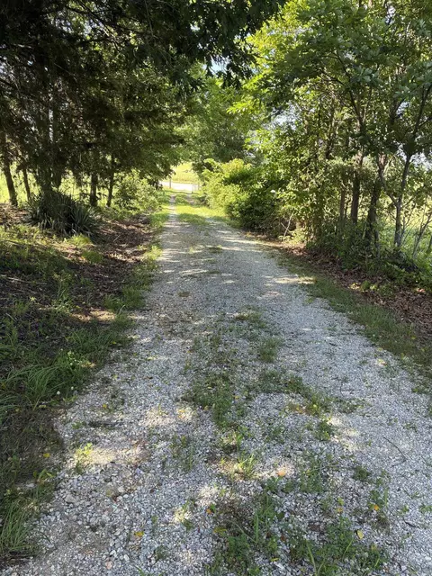 11099 Hwy 14, Big Flat, AR 72617 photo 18