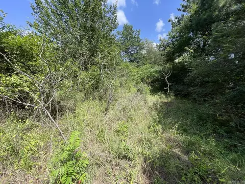 Edgemont Road, Quitman, AR 72131 photo 5