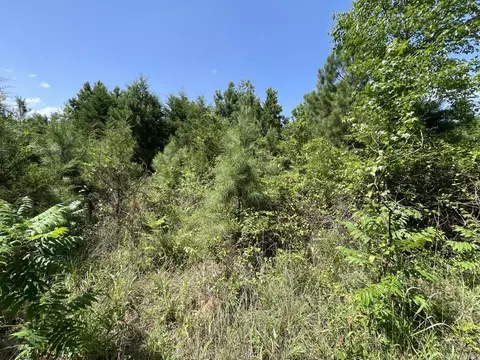 Edgemont Road, Quitman, AR 72131 photo 6