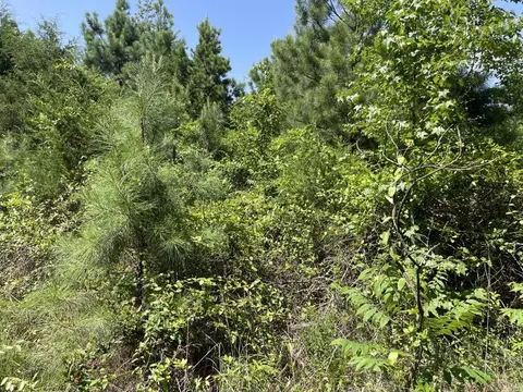 Edgemont Road, Quitman, AR 72131 photo 7