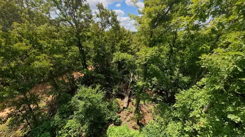 000 Ridgehaven Rd, Mammoth Spring, AR 72554 photo 11
