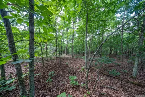 000 Ridgehaven Rd, Mammoth Spring, AR 72554 photo 3
