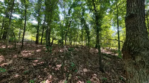 000 Ridgehaven Rd, Mammoth Spring, AR 72554 photo 8