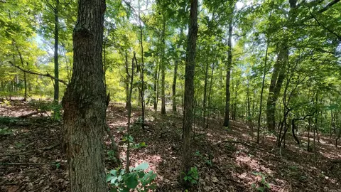 000 Ridgehaven Rd, Mammoth Spring, AR 72554 photo 5