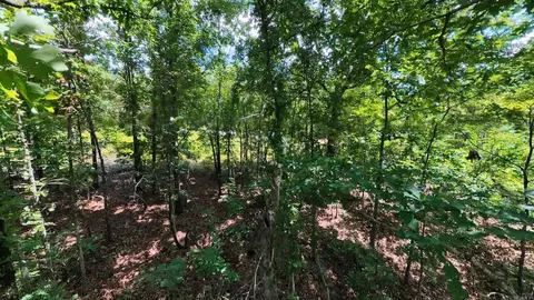 000 Ridgehaven Rd, Mammoth Spring, AR 72554 photo 9