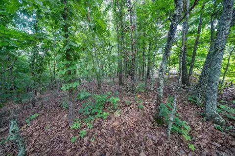 000 Ridgehaven Rd, Mammoth Spring, AR 72554 photo 4
