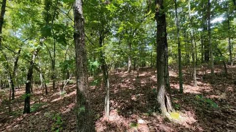 000 Ridgehaven Rd, Mammoth Spring, AR 72554 photo 7