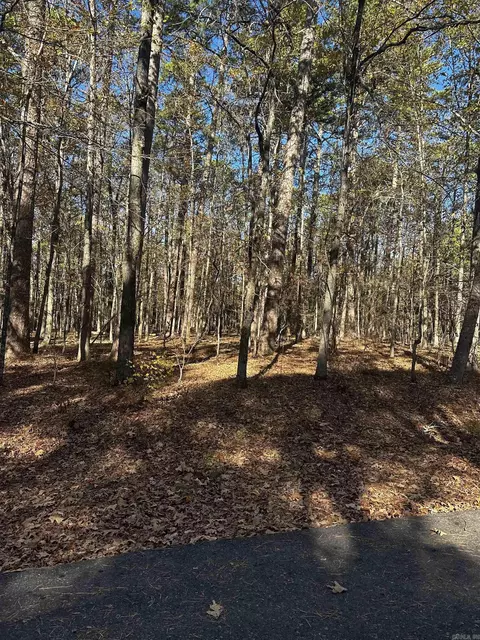 4 Holgar Ln, Hot Springs Village, AR 71909