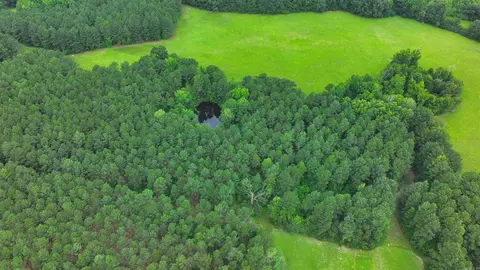 Other - 4654 Calhoun 22, Hampton, AR 71744 photo 5 of 23