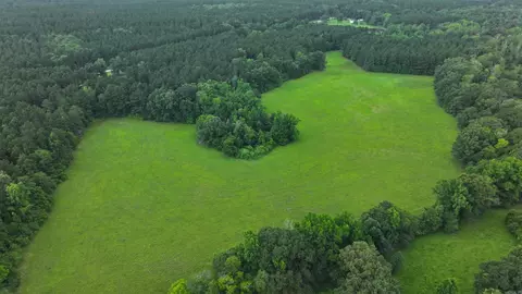 Other - 4654 Calhoun 22, Hampton, AR 71744 photo 8 of 23