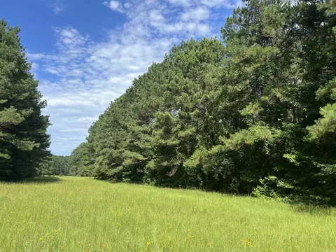 Other - 4654 Calhoun 22, Hampton, AR 71744 photo 16 of 23