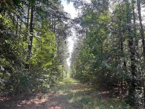 Other - 4654 Calhoun 22, Hampton, AR 71744 photo 15 of 23